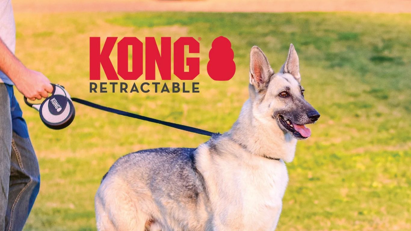 Kong retractable lead cheap