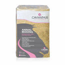 Buy Caviera Cavianthus Miscanthus Straw Bedding - Percys Pet Products