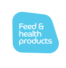 Liquid error (sections/slideshow line 30): input to image_tag must be an image_url