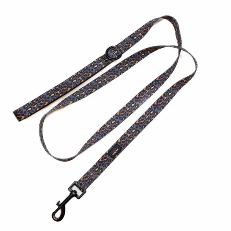Long Paws Funk The Dog Lead in Gold Black Leopard - Percys Pet Products