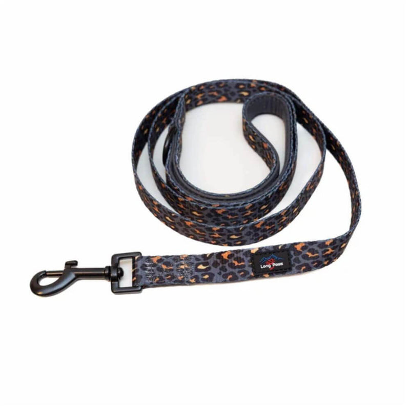 Long Paws Funk The Dog Lead in Gold Black Leopard - Percys Pet Products