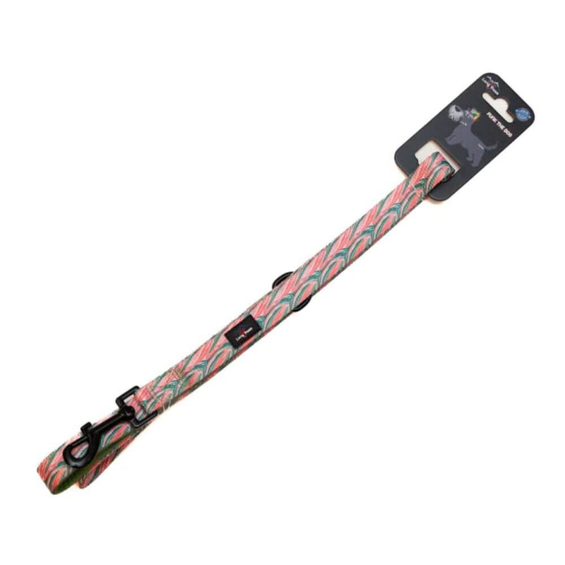 Long Paws Funk The Dog Lead in Pink Green Zebra - Percys Pet Products
