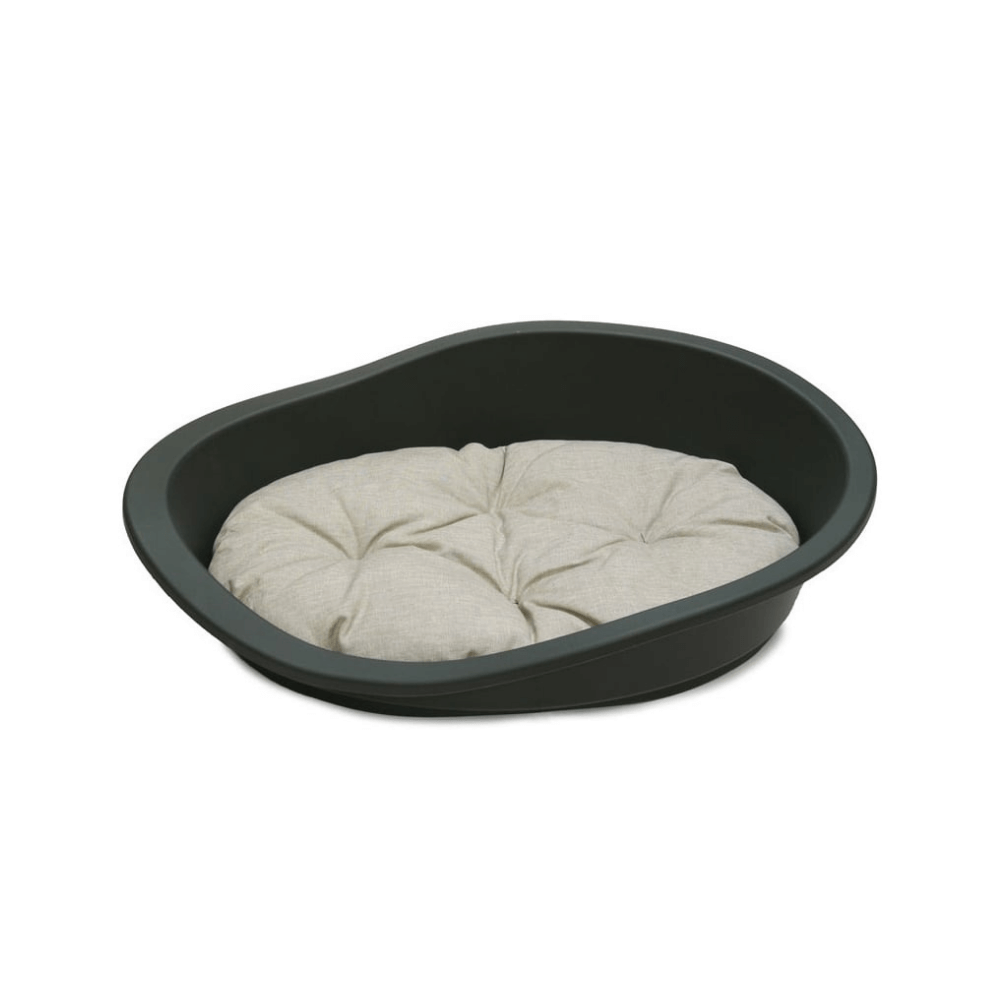Rosewood plastic dog deals bed