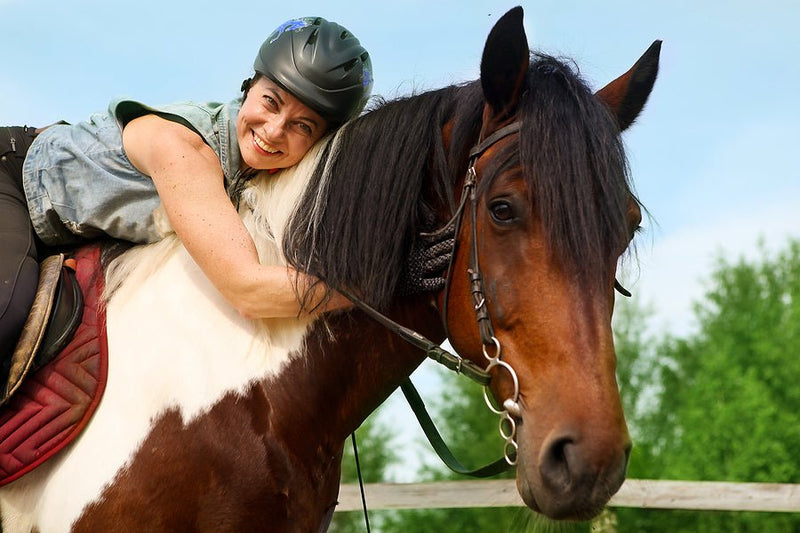 How To Keep The Horses Happy - Percys Pet Products