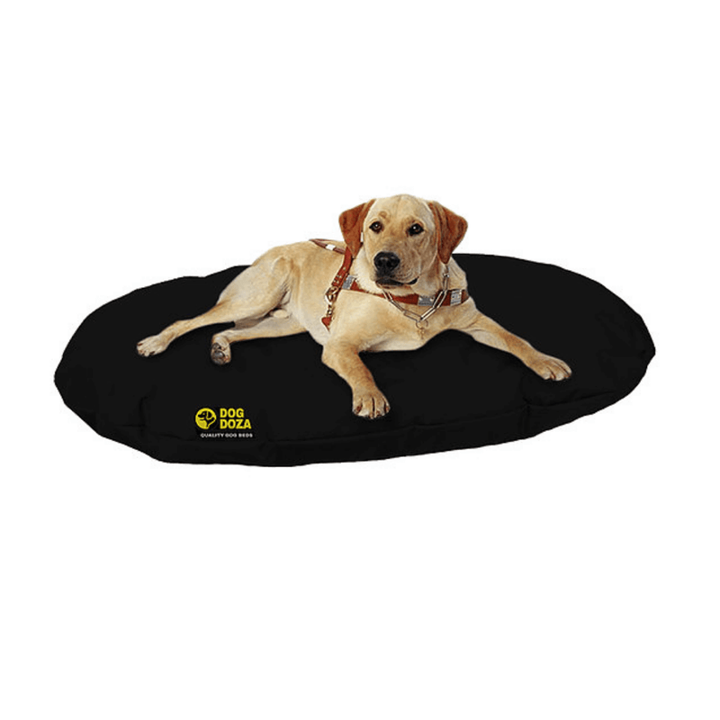 Why Memory Foam Is A Great Choice For Dog Beds - Percys Pet Products