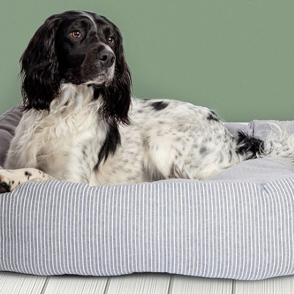 Buy Danish Design Dog Beds Percys Pet Products Free UK Delivery