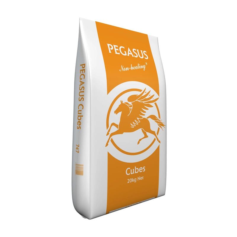 Buy Spillers Pegasus Value Cubes - Percys Pet Products