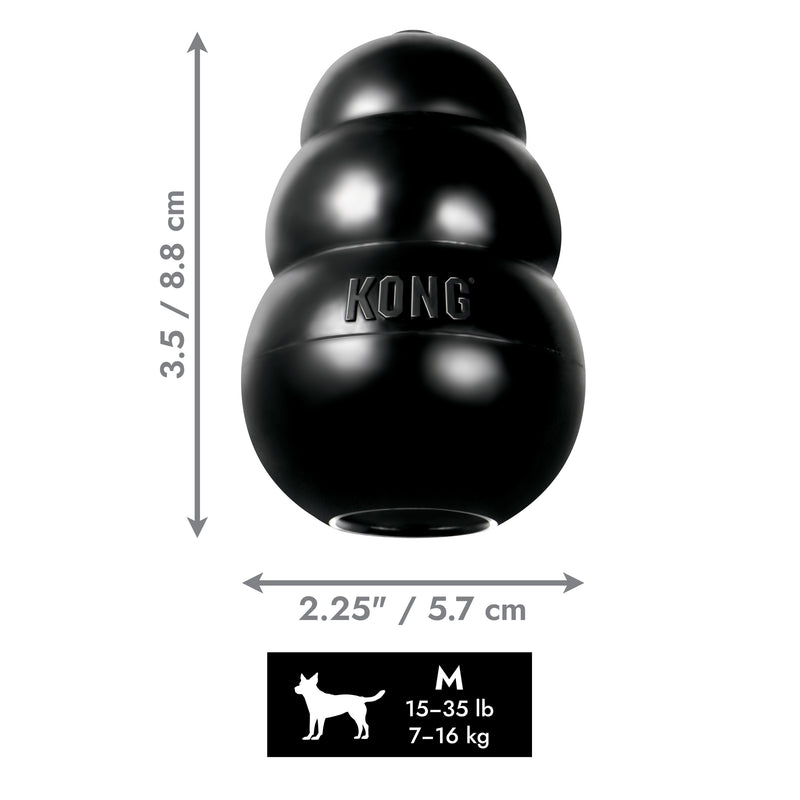 KONG Extreme Chew Treat Dog Toy - Percys Pet Products