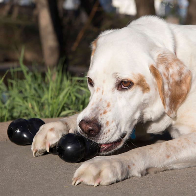 KONG Extreme Goodie Bone Dog Toy - Percys Pet Products