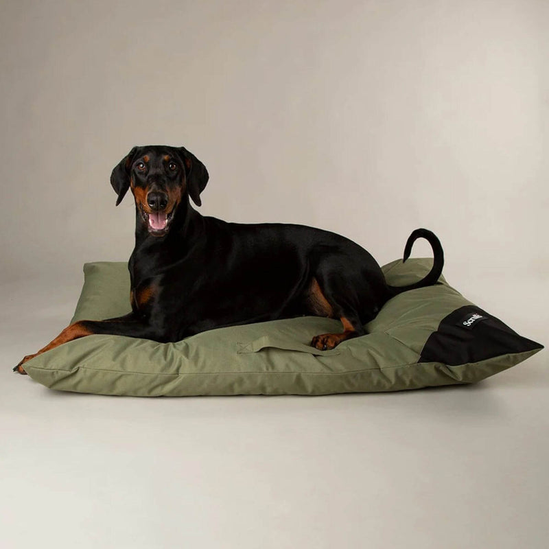 Buy Scruffs Expedition Memory Foam Dog Bed - Percys Pet Products