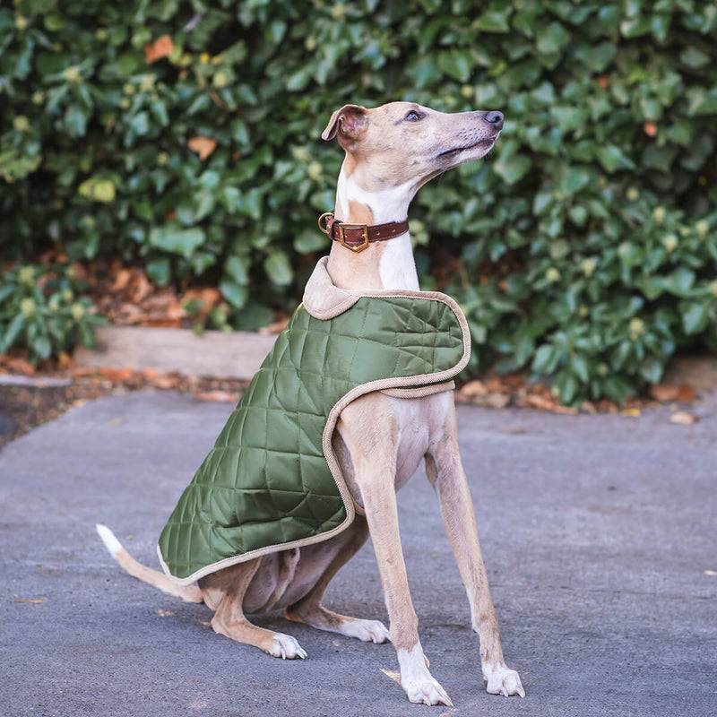 Buy Danish Design Quilted Dog Coat - Percys Pet Products