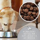 Dr John Titanium Dog Food - 15kg - Percys Pet Products