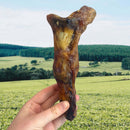 Buy Nova Dog Chews Ostrich Foot Large | Percys Pet Products