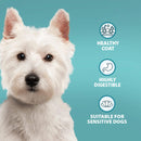 Buy Burns Sensitive Pork & Potato - Percys Pet Products