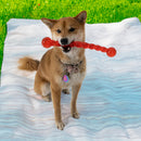 KONG Safestix Dog Toy - Percys Pet Products