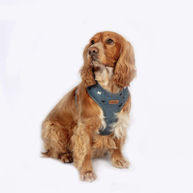 FatFace Marching Dogs Adjustable Harness - Percys Pet Products