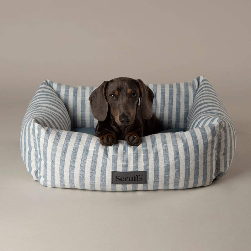 Buy Scruffs Coastal Box Dog Bed - Percys Pet Products