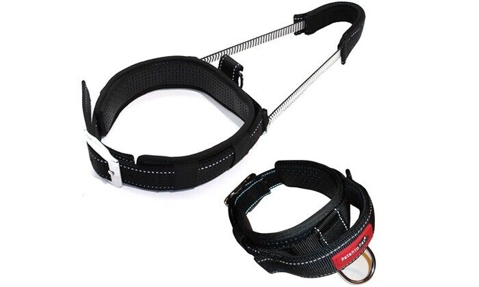 PatentoPet Padded Dog Collar with Quick Grab Handle