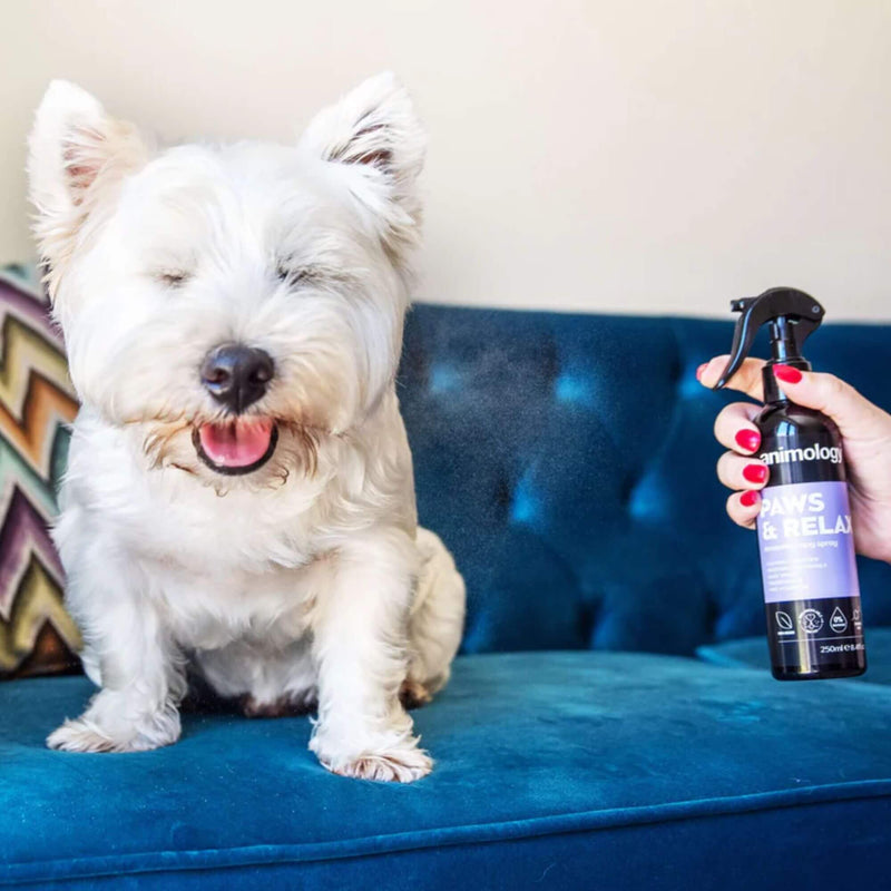 Buy Animology Paws & Relax Aromatherapy Spray | Percys Pet Products