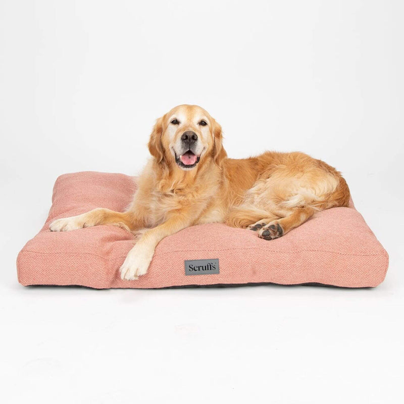 Buy Scruffs Seattle Mattress Dog Bed - Percys Pet Products