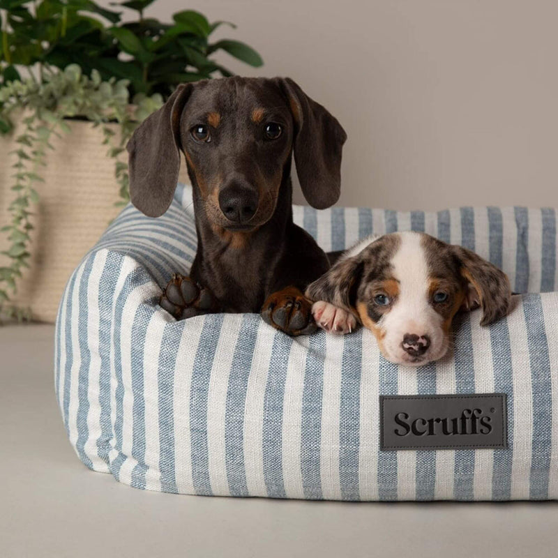 Buy Scruffs Coastal Box Dog Bed - Percys Pet Products