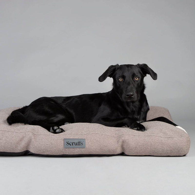 Buy Scruffs Seattle Mattress Dog Bed - Percys Pet Products