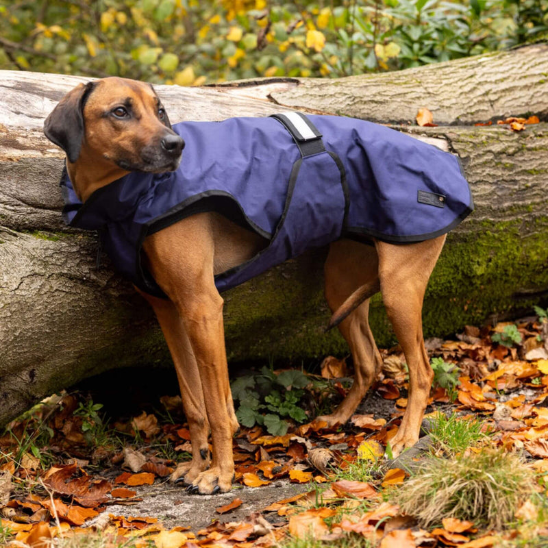 Danish Design 3-in-1 Waterproof Dog Coat - Percys Pet Products