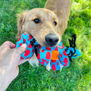 Buy KONG Signature Dynos Dog Toy - Percys Pet Products
