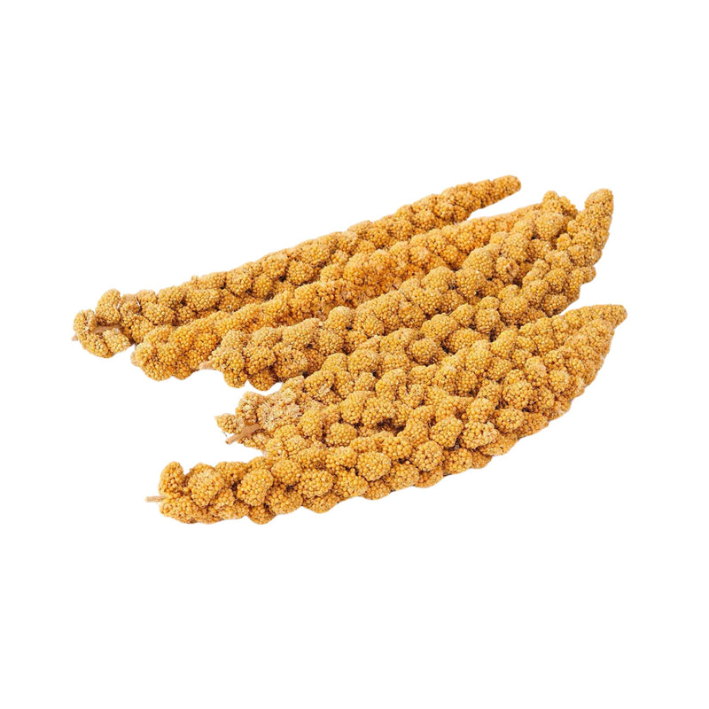 Buy Johnston & Jeff Millet Spray Bird Treat | Percys Pet Products