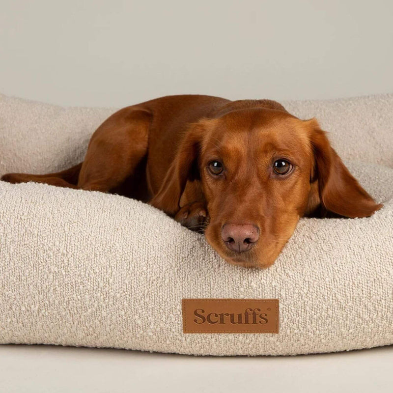 Buy Scruffs Boucle Box Dog Bed | Percys Pet Products