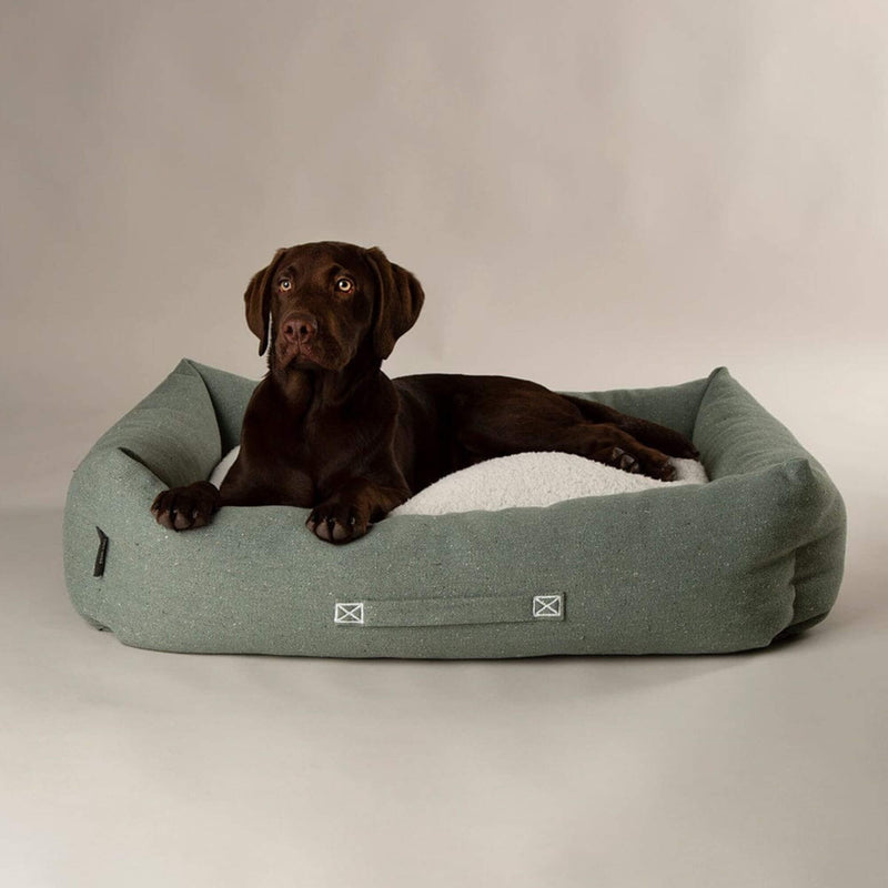 Scruffs Eden Box Dog Bed