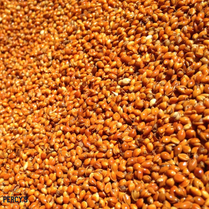 Buy Versele-Laga Red Millet Seed 25kg | Percys Pet Products