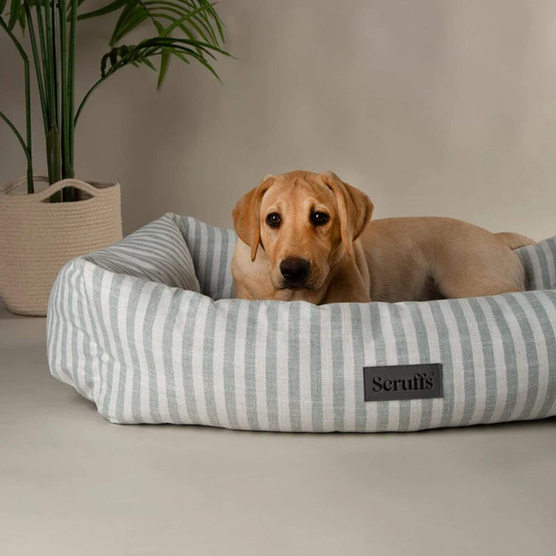 Buy Scruffs Coastal Box Dog Bed - Percys Pet Products