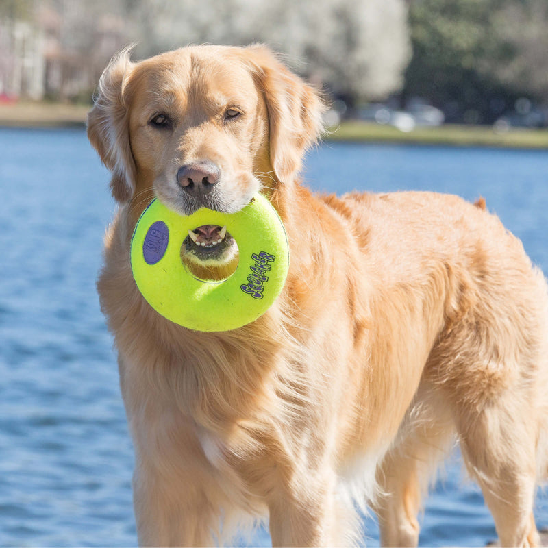 Buy KONG Air Squeaker Donut - Percys Pet Products