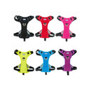 Buy Ancol Viva Exercise & Travel Dog Harness | Percys Pet Products