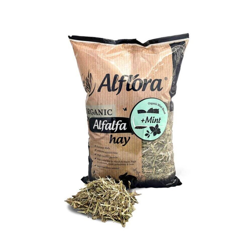Alflora Organic Alfalfa Hay with Mint - Percys Pet Products