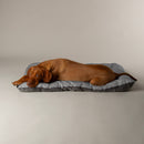 Scruffs Expedition Reversible Water Resistant Crate Mat | Percys Pet Products