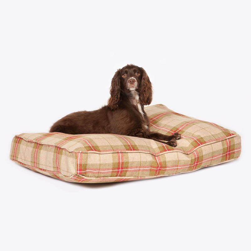 Buy Danish Design Newton Box Duvet Dog Bed - Percys Pet Products