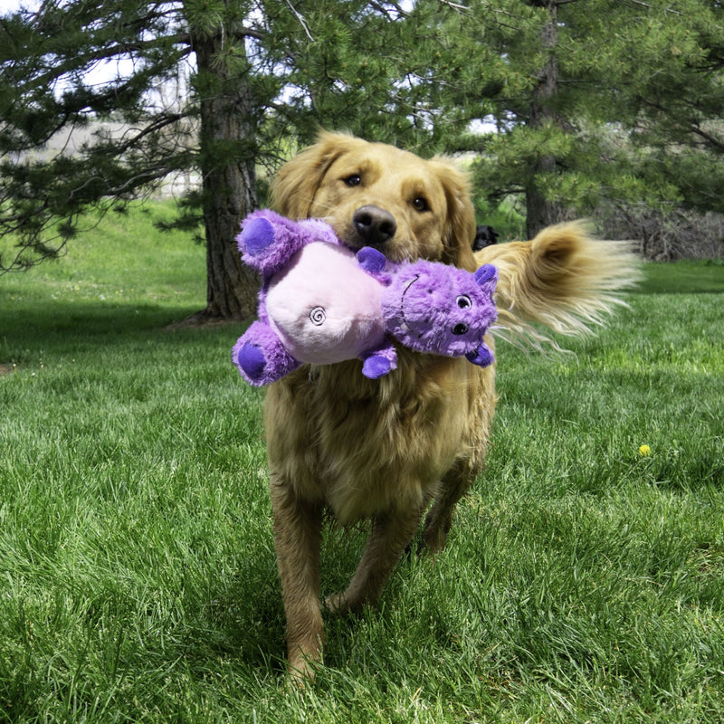Buy KONG Knots Belly Hippo Dog Toy - Percys Pet Products