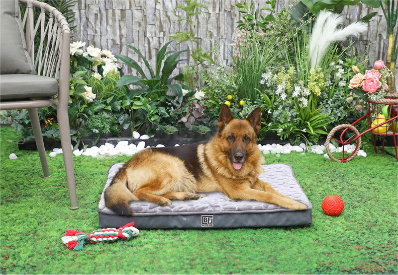 Bestfor Dog Bed with Charcoal Infused Eggcrate Memory Foam