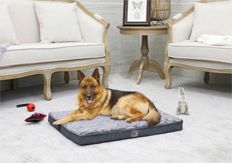 Bestfor Dog Bed with Charcoal Infused Eggcrate Memory Foam