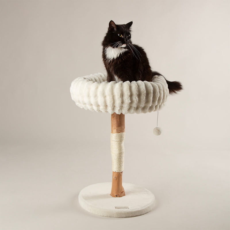 Scruffs Alpine Appalachians Cat Tree - Percys Pet Products