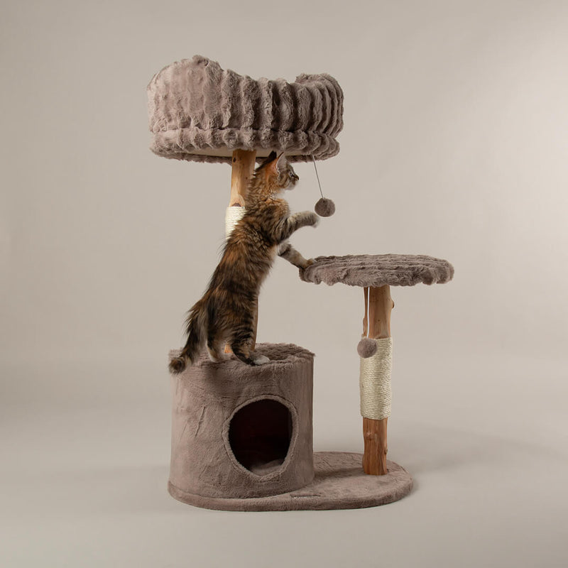 Scruffs Colorado Cat Tree - Percys Pet Products