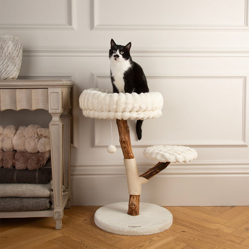 Scruffs Alpine Atlas Cat Tree - Percys Pet Products