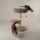 Scruffs Alpine Atlas Cat Tree - Percys Pet Products