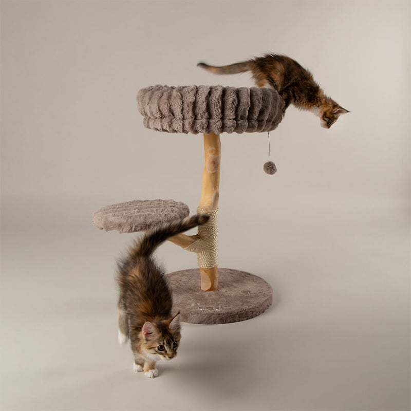 Scruffs Alpine Atlas Cat Tree - Percys Pet Products
