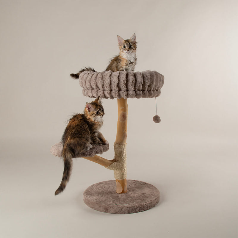 Scruffs Alpine Atlas Cat Tree - Percys Pet Products