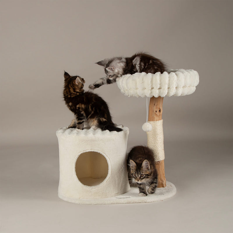 Scruffs Alpine Himalayas Cat Tree - Percys Pet Products