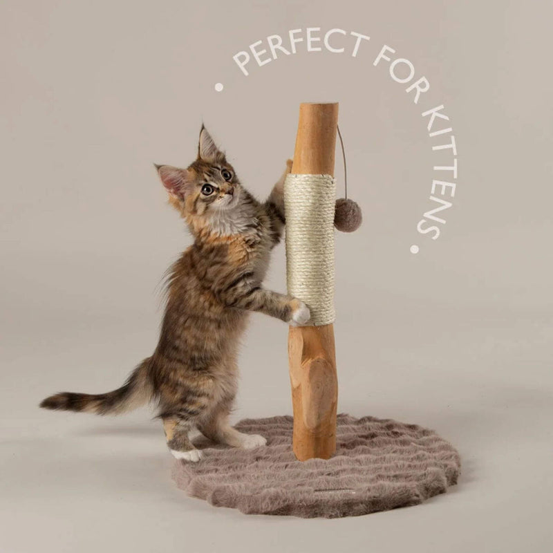 Scruffs Alpine Andes 'My First' Cat Scratching Post - Cream - Percys Pet Products