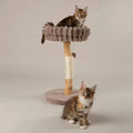 Scruffs Alpine Appalachians Cat Tree - Percys Pet Products